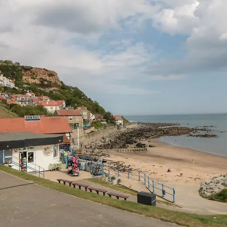 Rose Saltburn-by-the-Sea